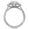 Precision Set New Aire 3-Stone Diamond Engagement Ring side view