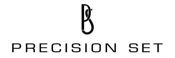 precision set logo