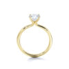 product image of yellow gold embrace solitaire engagement ring from sasha primak